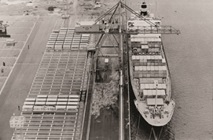コンテナ船箱根丸の写真