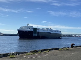 The Shinsen Maru