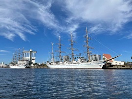 two ships at Garden Pier